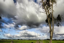 活性炭哪个牌子除甲醛效果好？推荐这十款，环保健康又实惠！