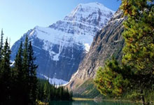 活性炭哪个牌子除甲醛效果好？推荐这十款，环保健康又实惠！