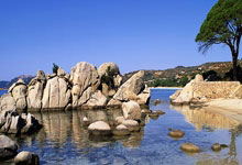 活性炭哪个牌子除甲醛效果好?推荐这十款,环保健康又实惠!